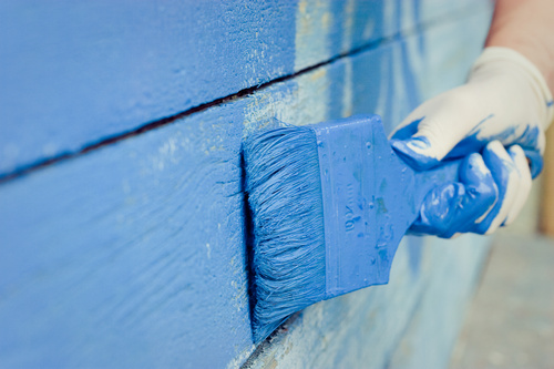 Shoreline professional painter offering top-notch services in WA near 98133