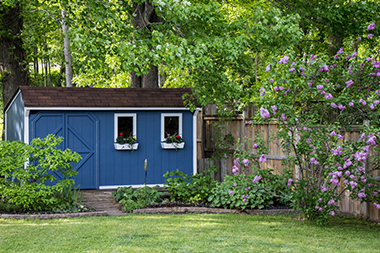 Bellevue Shed painting expertise in WA near 98006